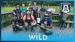 Into the Swamp we go as AU’s newest Eco Explorers  | In the Wild