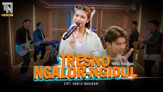 TRESNO NGALOR NGIDUL | NABILA MAHARANI LIVE KOPLO VERSION