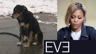 Rapper EVE Sees the Starved, Abused Dogs PETA Helps