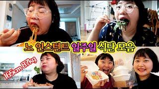 [초고도비만 탈출기] 노 인스턴트 일주일 식단 모음! 이것은 인스턴트인가 아닌가......! / 식이 VS 운동 친구와의 내기 결과는?! / 강아지 수제간식 원데이클래스