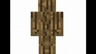 Minecraft PC i am wood w/ MarZzx(wood troll)