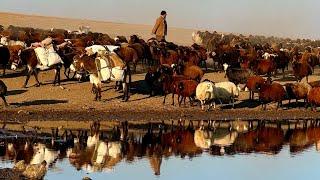 IT'S FAREWELL TIME FOR ABBAS - IT'S TIME TO WATER THE SHEEP AT THE LAKE