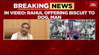 Assam CM Himanta Biswa Sarma Mocks Rahul Gandhi For Servering Dog Biscuits To Congress Worker