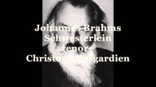 Brahms Johannes, Schwesterlein   (tenore Christoph Prégardien)