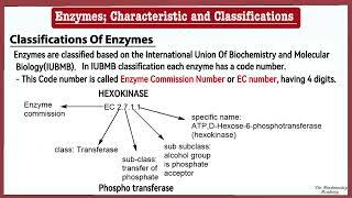 Enzymes: Definition, Characteristics and Classifications of Enzymes | The Biochemistry Academy