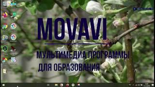 Работа с хромакеем в Movavi Video Suite