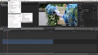 Final Cut Pro X 10.0.6 Still Frame Tutorial