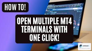 HOW TO OPEN MULTIPLE MT4 TERMINALS WITH ONE CLICK!