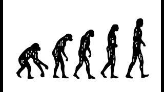 What is Darwin’s Theory of Evolution?