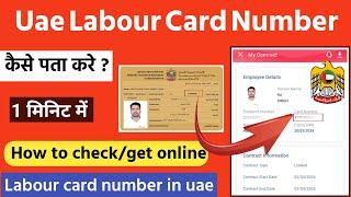 How to check labour card number in uae | How to get labour card number | uae labour card number