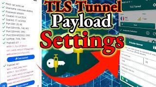 TLS Tunnel Setup For Fast UDP Servers Easy and Quick