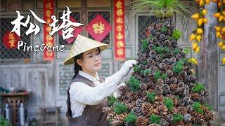 Wild Falling Pine Nuts from Yunnan – A Rare Mountain Delicacy【滇西小哥】