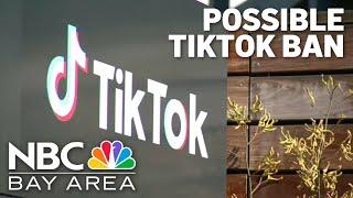 Congress passes bill forcing TikTok parent company to see or be banned in the U.S.