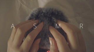 ASMR 타스캠 데드캣 쓰다듬기, 긁기, 빗질하기 | Patting, Scratching, and Combing TASCAM Deadcat