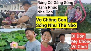 737# Bất Ngờ ,Lần Này Mẹ Chồng Về Thấy Mẹ Đẹp Quá, Cùng Mẹ Đi Ăn Cơm Đi Siêu Thị Và Đi Ngắm Hoa Sen