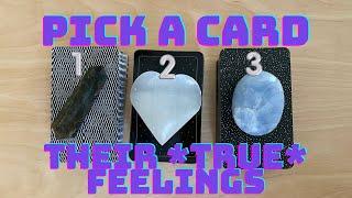 What Are Their *Thoughts* and *Feelings* For You? PICK A CARD  Timeless Love Tarot Reading