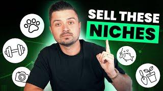 Best Digital Dropshipping Niches To Sell In 2024! (COPY THESE)