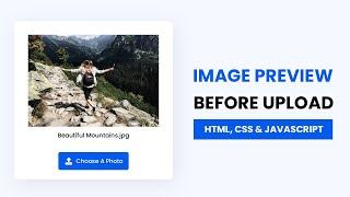 File Input Button With Image Preview & File Name | With Source Code