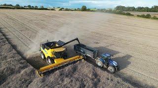 Newholland CR 9.90 Combine in OSR