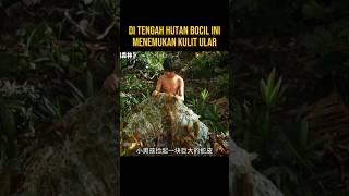 BOCIL INI DI CEGAT ULAR BESAR DI TENGAH HUTAN #alurceritaflim #film