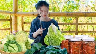 How to Process Vietnamese Cabbage into Korean Kimchi, a Side Dish for Grilled Meals | Nguyễn Lâm Anh