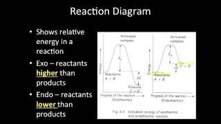 Video Lecture: 3-4 Chemical Reactions