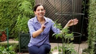 How-To Grow Fruits and Vegetables in Containers | IN BETH'S GARDEN