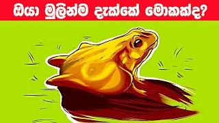 Smart Test EP:113 | මේවා ස්මාට් වැඩ්ඩන්ට විතරයි | Riddles In Sinhala l Sinhala Riddles