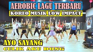 AEROBIC LATEST SONG 2025 FESYA SAHARA