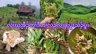 Finding natural vegetables on the Mountain