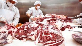 (HACCP ver) HOW TO BUTCHER AN ENTIRE COW - The process by which beef is made  / 소발골,발골교육,신부축산