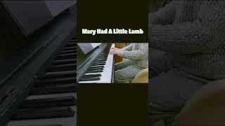 Mary Had A Little Lamb Piano Practice | Piano Beginner | Practice Diary