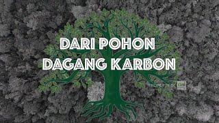 Dari Pohon Dagang Karbon