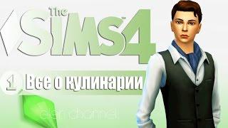 The Sims 4 | Все о кулинарии | Рецепты 1 уровня #1.