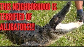 This Neighborhood is Terrified of Alligators!