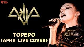 Аэлла - Тореро (Ария cover) - LIVE 21.01.2017 Multicam