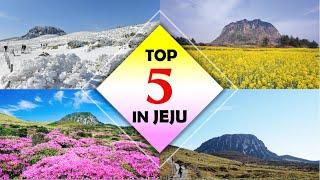 Top 5 Things To Do In Jeju Island