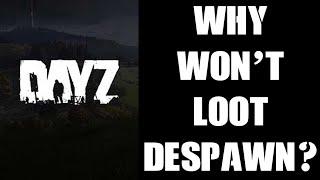 Why Doesn’t Loot Despawn On My DayZ Private Community Custom Server? How To Make New Items Spawn In