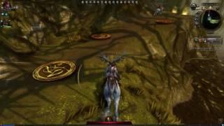 Neverwinter Online | Stag Riding in Nostura's Forest