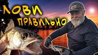 Вечірня та нічна рибалка на судака: Секрети успіху