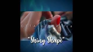 HITS & LOVE ️ "Shiny Shape" OTTA-orchestra. mp3. Album 3. 2022