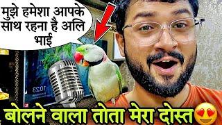 बोलने वाला तोता मेरा दिस्त | बात करने वाला तोता। #bolnewalaparrot #talkingparrot #mitthu #pets