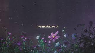 Tranquillity Pt. 2 - lofi hip hop beat (FREE FOR PROFIT USE)