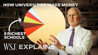 Former College President Explains the Funding Strategies Behind Universities | WSJ