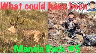 2021  State Archery Hunt Part 1 / Manele Axis Buck #5 | Lanai,Hawaii