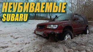 Жёсткое испытание subaru forester. Offroad на затопленных полях