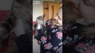 Кот с человеческим ртом Говорящий кот