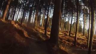 Cannock Chase Forest Commission (Follow the Dog 2 of 3)