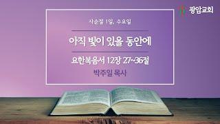 아직 빛이 있을 동안에, 요한복음서 12장 27~36절, 사순절 1일, 박주일 목사