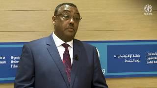 Remarks by Demeke Mekonnen, Deputy Prime Minister of Ethiopia